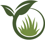 JW Tree Planting